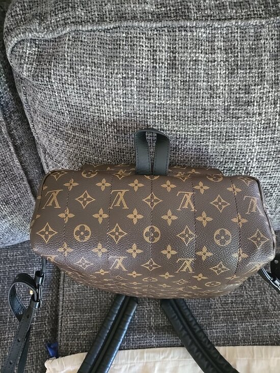 Louis-vuitton Palm Springs MM backpack main image 3